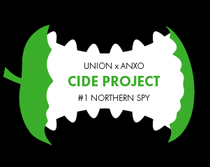 ANXO Cide Project #1: Northern Spy